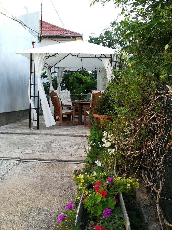 Lili Apartment In Zadar Pet Friendly, Free Parking Zewnętrze zdjęcie
