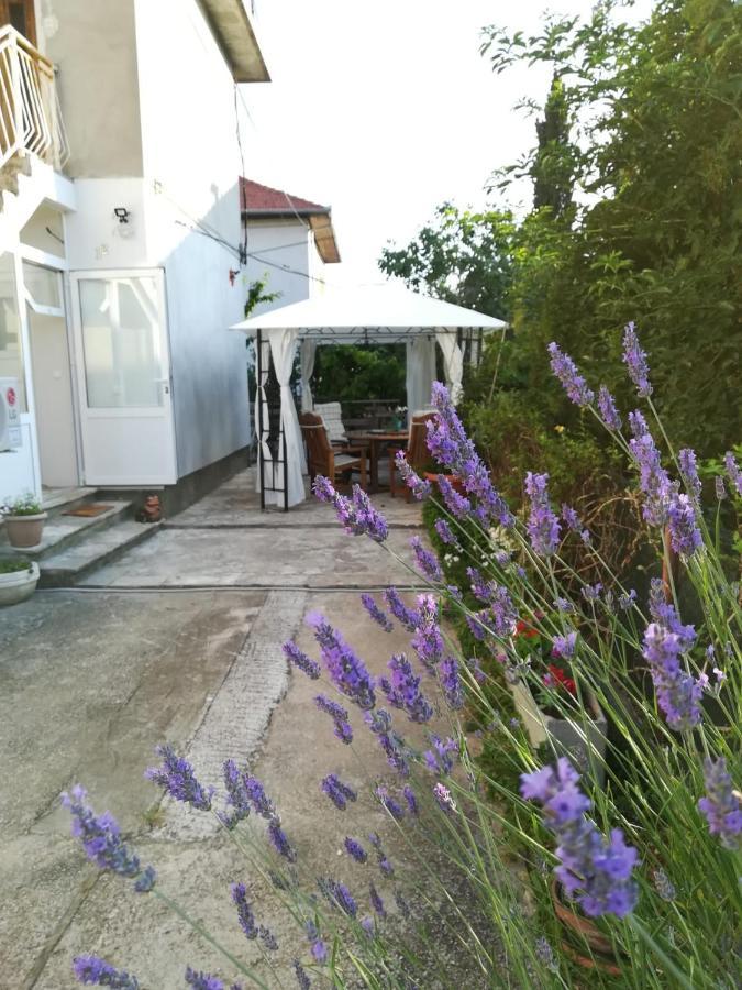 Lili Apartment In Zadar Pet Friendly, Free Parking Zewnętrze zdjęcie