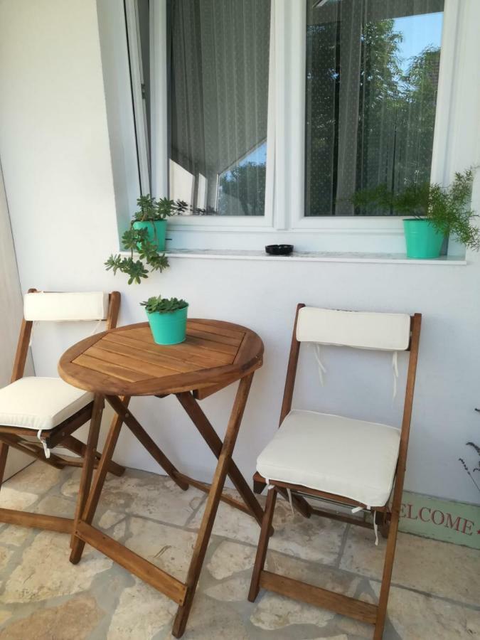Lili Apartment In Zadar Pet Friendly, Free Parking Zewnętrze zdjęcie